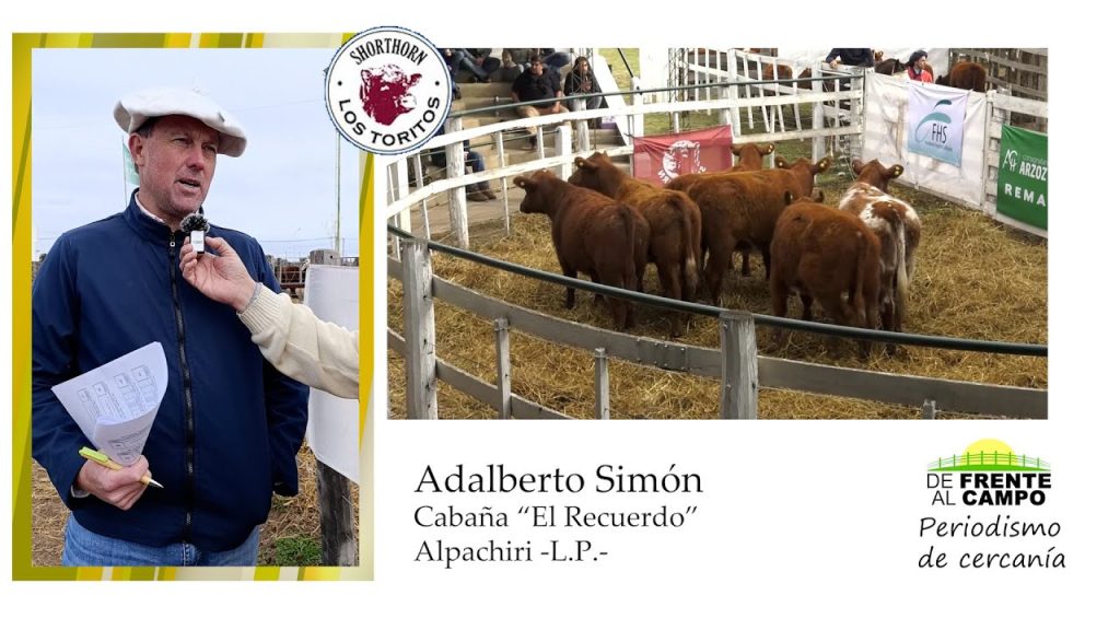 Adalberto Simón de Cabaña El Recuerdo durante una entrevista en el remate de Cabaña Los Toritos en Salliqueló, Buenos Aires, agosto 2025.