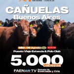 Alfredo S. Mondino | Cañuelas | Próximo Remate Feria el miércoles 6 de agosto de 2025