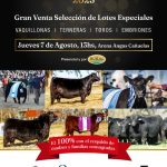 Alfredo S. Mondino | Cañuelas | Próximo Remate Feria el Jueves 7 de agosto de 2025