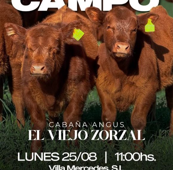Alfredo S. Mondino | Villa Mercedes, S.L. | Día de Campo- El viejo Zorzal el Lunes 25 de agosto de 2025