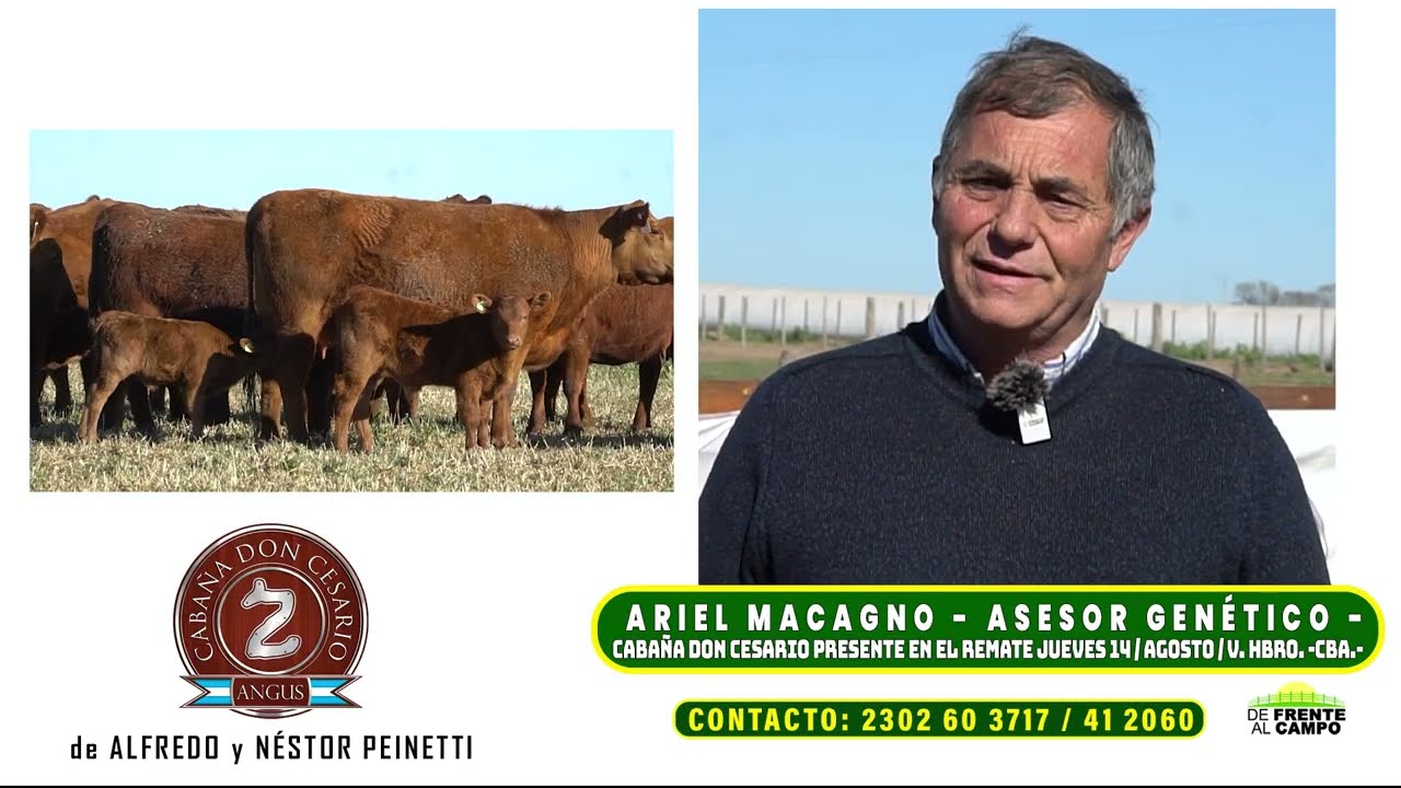 Entrevista: Ariel Macagno y el remate de reproductores en Villa Huidobro