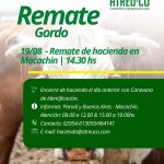 ATREU-CO | Macachín | Próximo Remate Feria el martes 19 de agosto de 2025