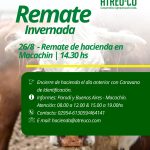 ATREU-CO | Macachín | Próximo Remate Feria el martes 26 de agosto de 2025