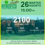 ATREU-CO | Macachín | Próximo Remate Feria el martes 26 de agosto de 2025