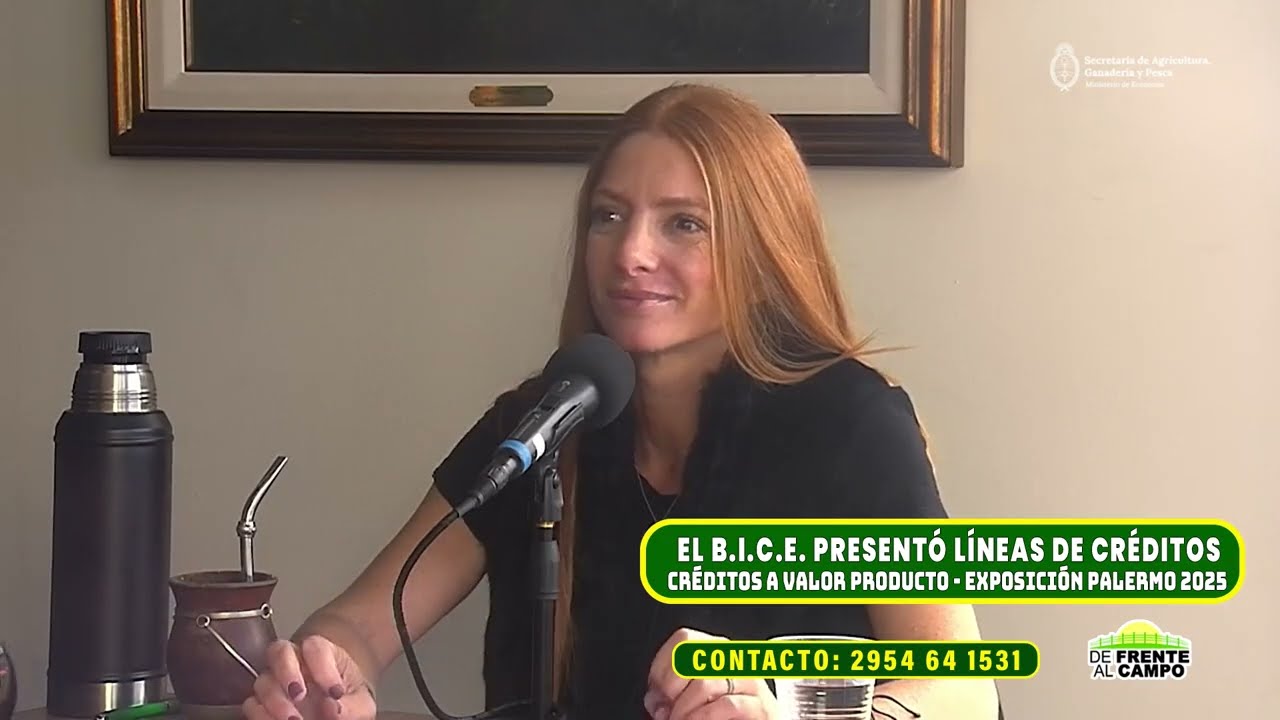 El Banco BICE lanza créditos valor producto ganadería para potenciar el stock y la productividad