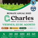 Colombo y Magliano S.A. | Solís, Buenos Aires | Próximo Remate Feria el Viernes 22 de agosto de 2025