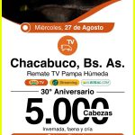 Colombo y Magliano S.A. | Chacabuco, Bs. As. | Próximo Remate Feria el miércoles 27 de agosto de 2025