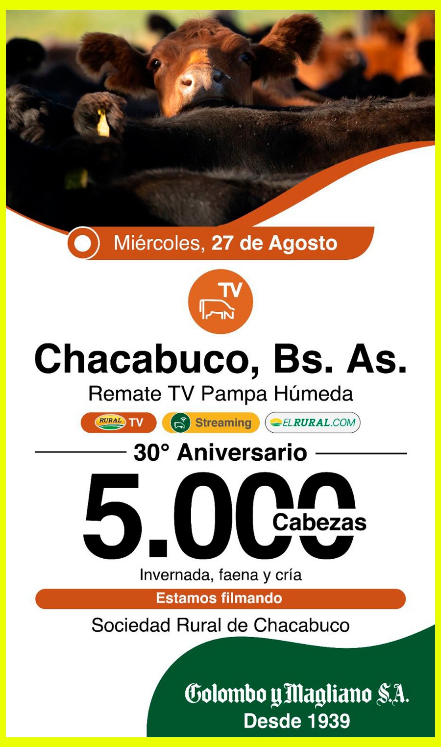 Colombo y Magliano S.A. | Chacabuco, Bs. As. | Próximo Remate Feria el miércoles 27 de agosto de 2025