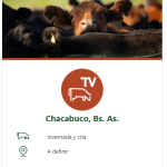 Colombo y Magliano S.A. | Chacabuco, Bs. As. | Próximo Remate Feria el miércoles 27 de agosto de 2025