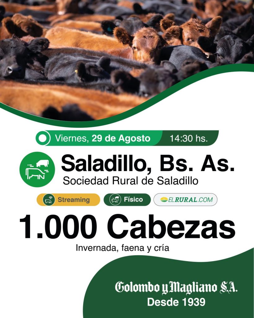 Remate feria Colombo y Magliano en Saladillo 29 agosto 2025 con 1.000 cabezas, modalidad física y streaming por ElRural.