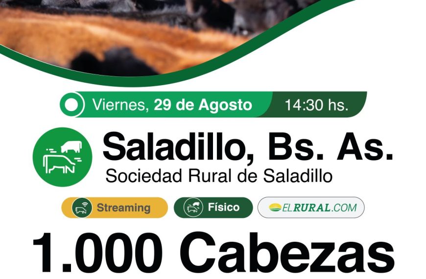 Remate feria Colombo y Magliano en Saladillo 29 agosto 2025 con 1.000 cabezas, modalidad física y streaming por ElRural.