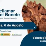 Colombo y Magliano S.A. | Chascomús, Buenos Aires | Próximo Remate Feria el Miércoles 6 de agosto de 2025