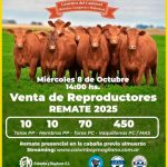 Cabaña El Cortijo| Colombo y Magliano S.A. | Miguel Riglos, La Pampa | Próximo Remate Feria el Miércoles 8 de Octubre de 2025