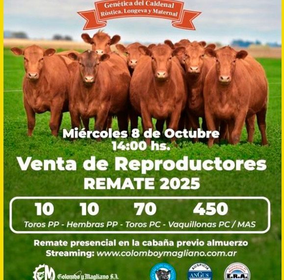Cabaña El Cortijo| Colombo y Magliano S.A. | Miguel Riglos, La Pampa | Próximo Remate Feria el Miércoles 8 de Octubre de 2025