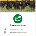 Colombo y Magliano S.A. | Chascomús | Próximo Remate Feria el martes 12 de agosto de 2025