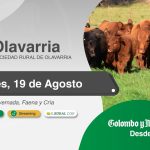 Colombo y Magliano S.A | Olavarría | Próximo Remate Feria el martes 19 de agosto de 2025