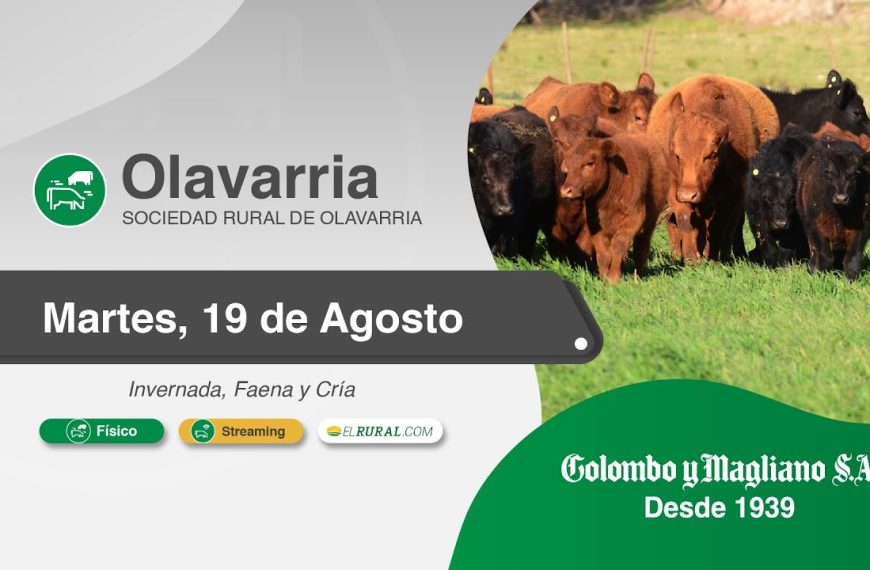 Colombo y Magliano S.A | Olavarría | Próximo Remate Feria el martes 19 de agosto de 2025