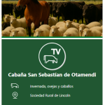Colombo y Magliano S.A | Lincoln | Próximo Remate Feria el lunes 25 de agosto de 2025