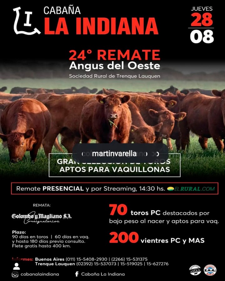 Colombo y Magliano S.A | Trenque Lauquen, Buenos Aires | Próximo Remate Feria el Jueves 28 de agosto de 2025