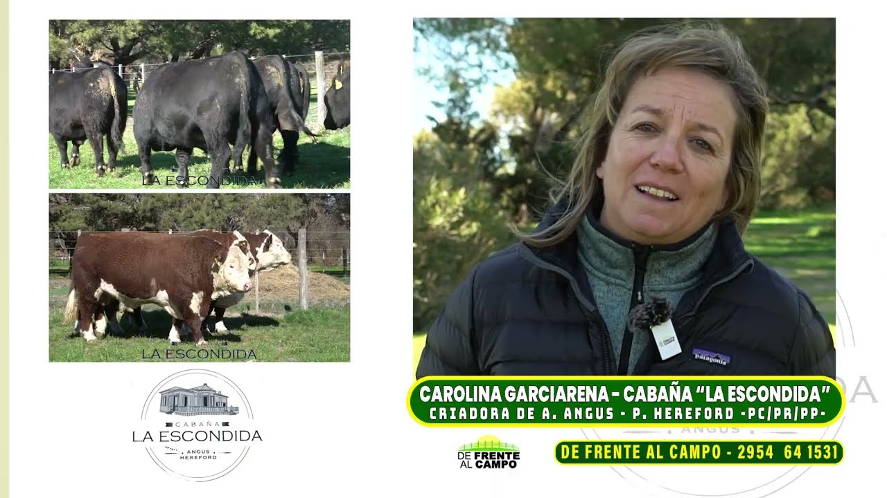 Entrevista: Carolina Garciarena y la genética de Cabaña La Escondida rumbo al remate de reproductores