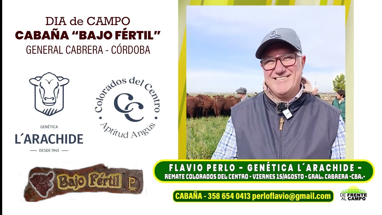 Entrevista: Flavio Perlo y el desarrollo de genética Angus Colorado en la Cabaña Bajo Fértil