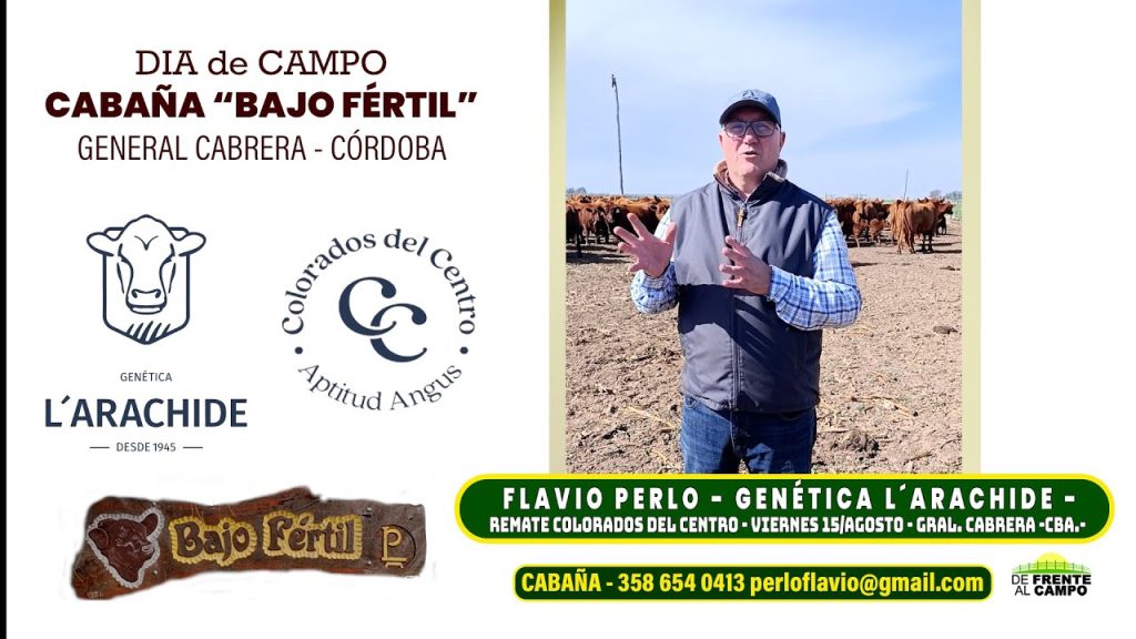  Flavio Perlo gesticula frente a su rodeo Angus Colorado en el Día de Campo de Cabaña Bajo Fértil.