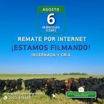 Gregorio Aberasturi | Carhué | Próximo Remate Feria el miércoles 6 de agosto de 2025