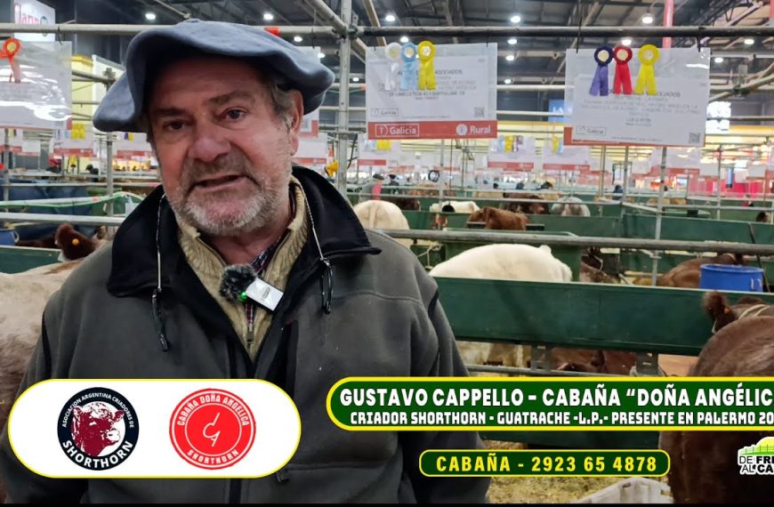 Entrevista: El presente de la Cabaña Doña Angélica en Expo Palermo 2025