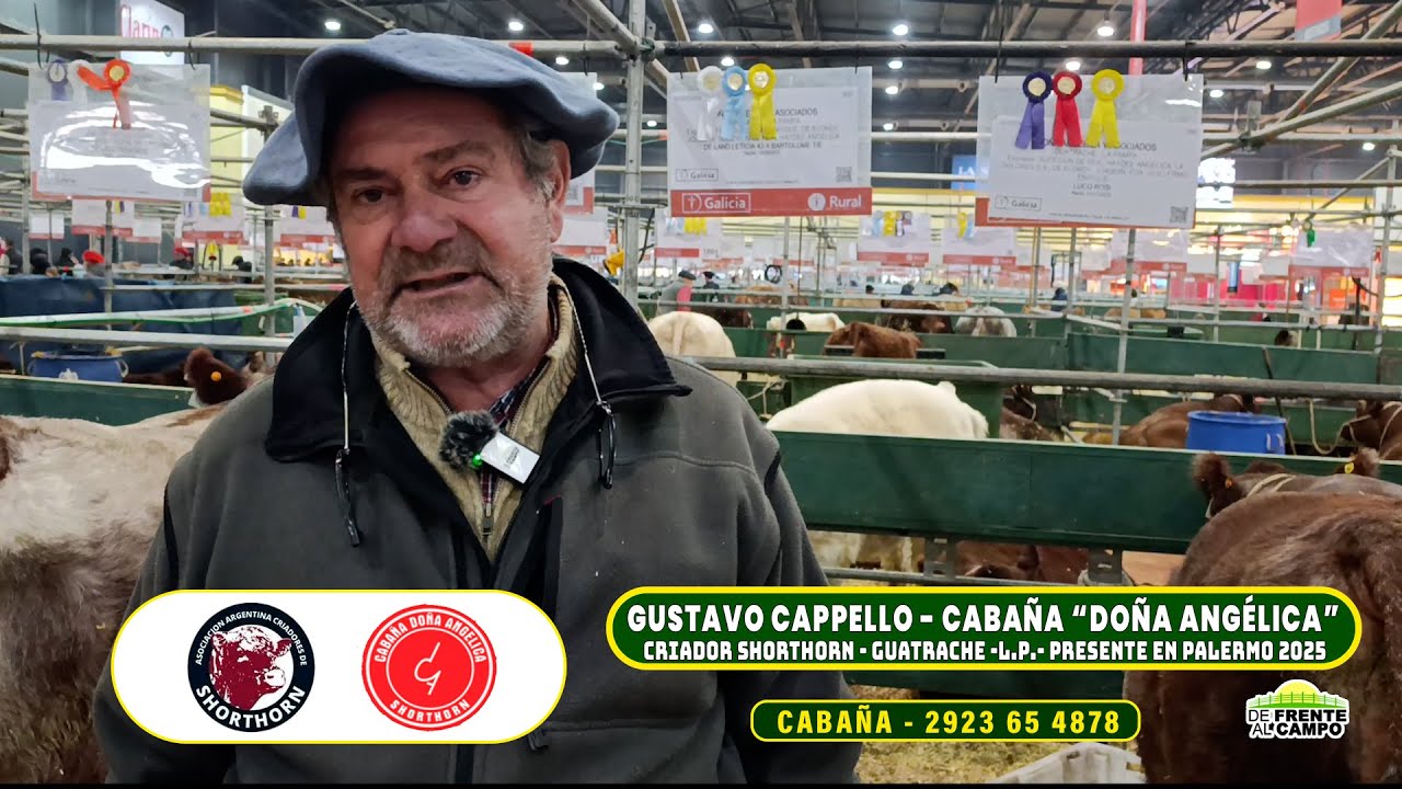 Entrevista: El presente de la Cabaña Doña Angélica en Expo Palermo 2025