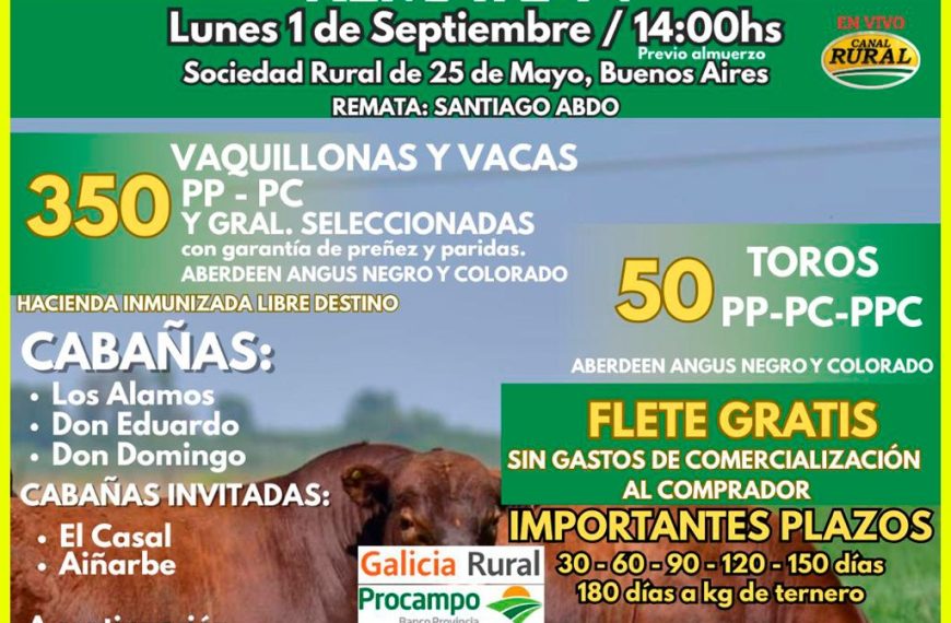 Remate feria 25 de Mayo con H. Nieva y Asociados S.R.L en septiembre 2025