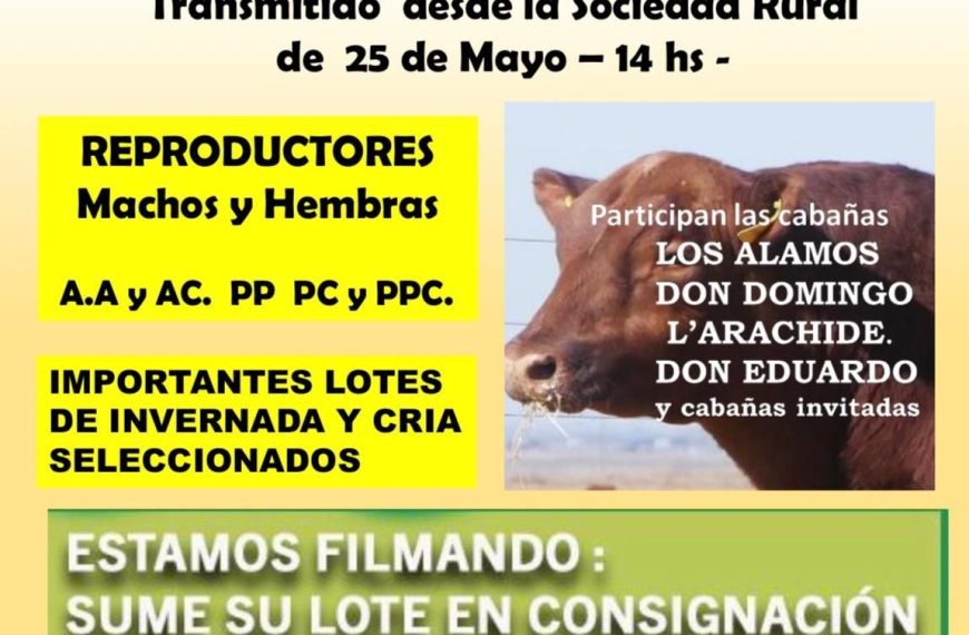 H. Nieva y Asociados S.R.L | 25 de Mayo | Próximo Remate Feria el Lunes 1 de septiembre de 2025