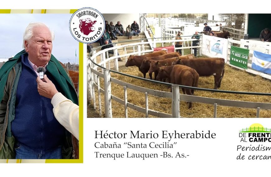 Entrevista: Héctor Mario Eyherabide y el 6° remate Shorthorn en Salliqueló