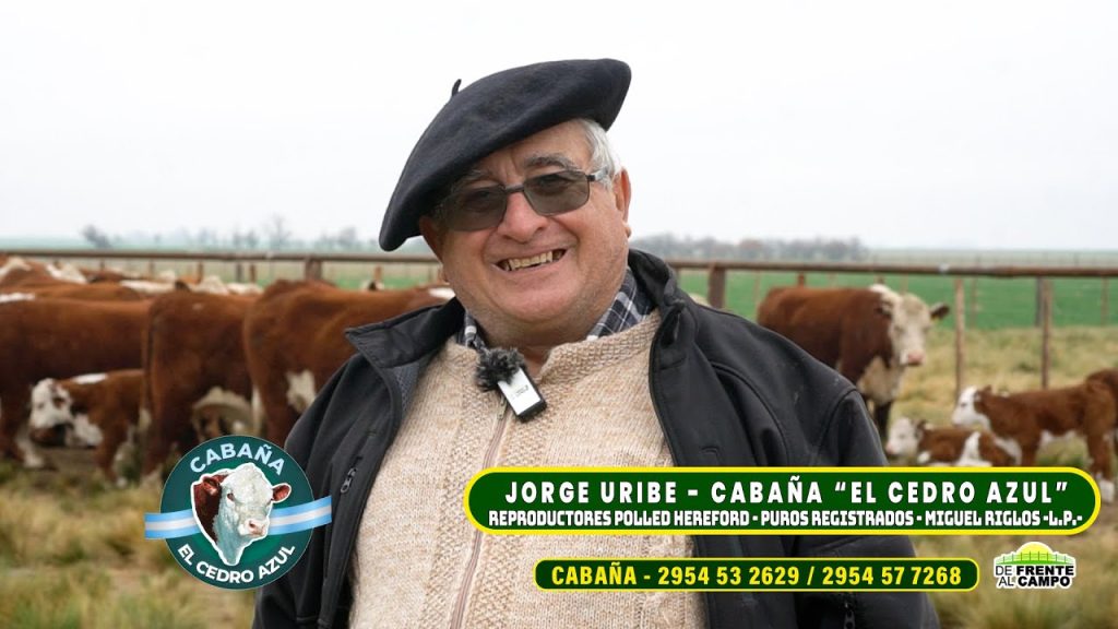 Jorge Uribe de Cabaña El Cedro Azul junto a reproductores Polled Hereford en Miguel Riglos, La Pampa.