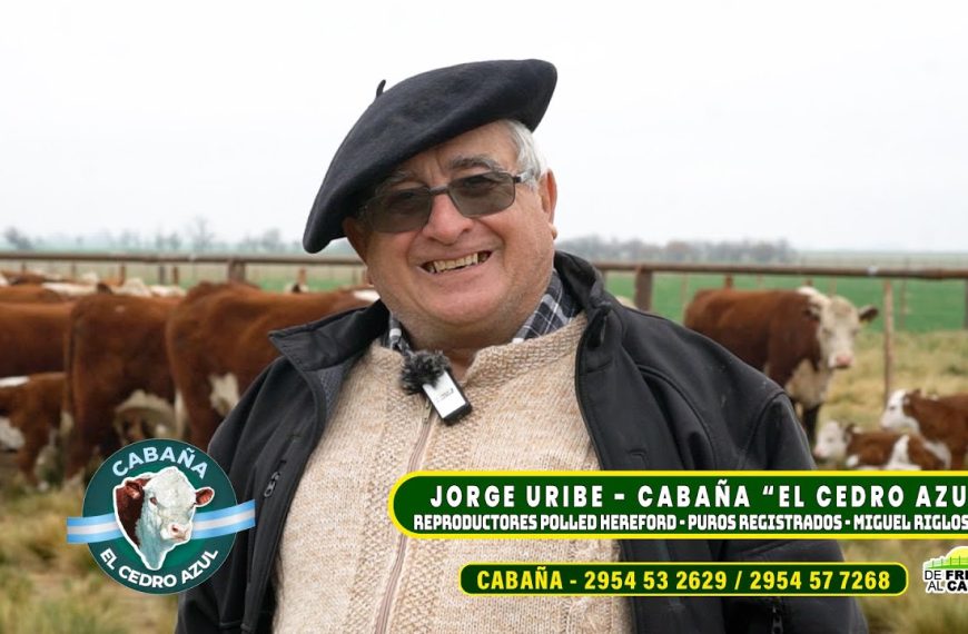 Entrevista: Jorge Uribe, de Cabaña El Cedro Azul y su apuesta a los reproductores polled hereford en La Pampa