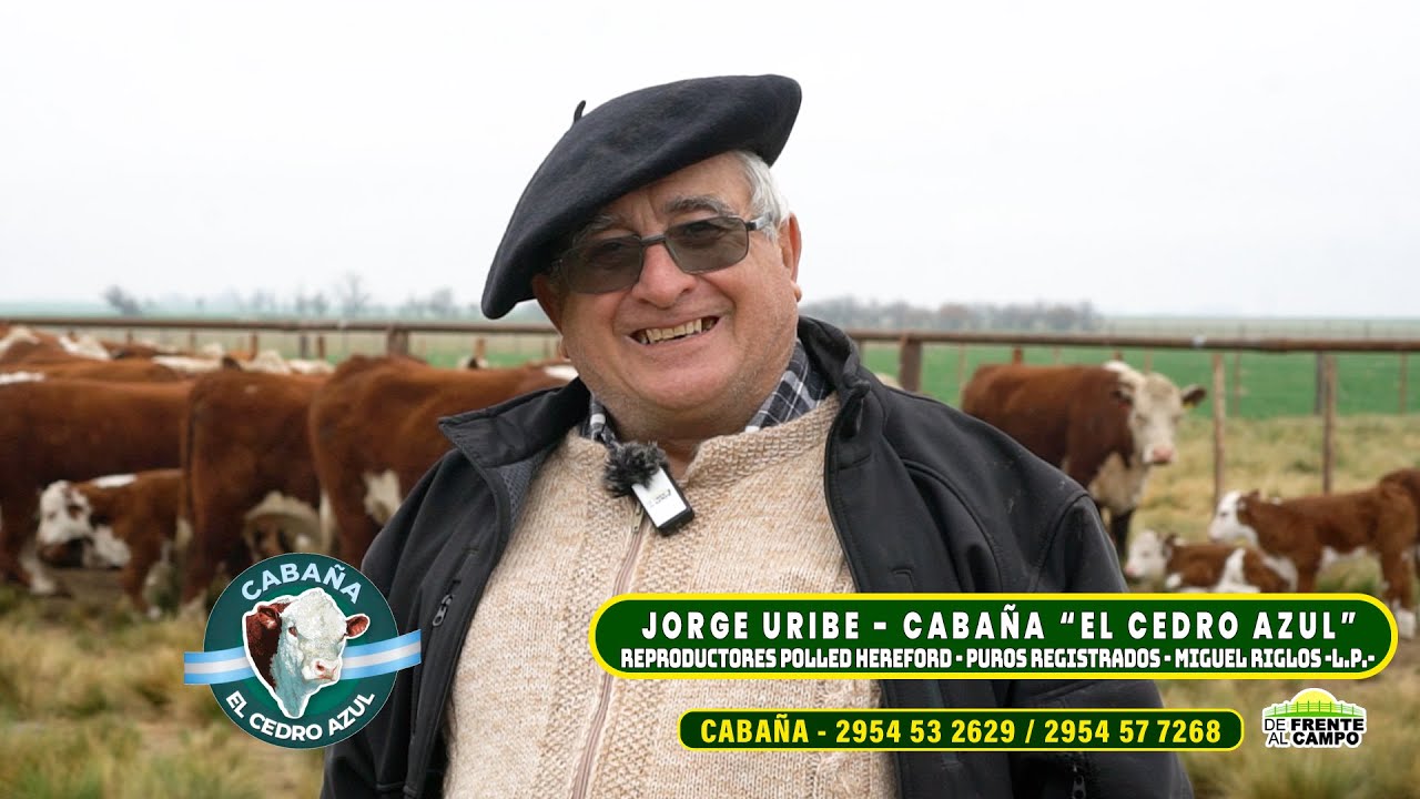Entrevista: Jorge Uribe, de Cabaña El Cedro Azul y su apuesta a los reproductores polled hereford en La Pampa