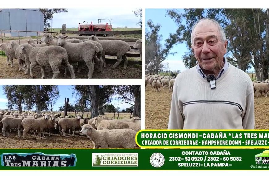 Entrevista: La Producción Ovina en Las Tres Marías y los desafíos del criador pampeano