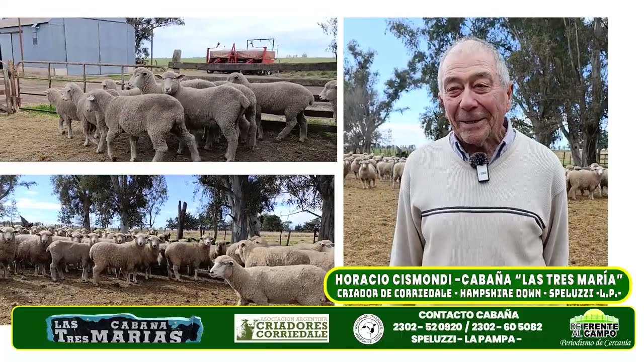 Entrevista: La Producción Ovina en Las Tres Marías y los desafíos del criador pampeano