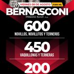 Néstor Hugo Fuentes S.A. | Bernasconi | Próximo Remate Feria el viernes 08 de agosto de 2025