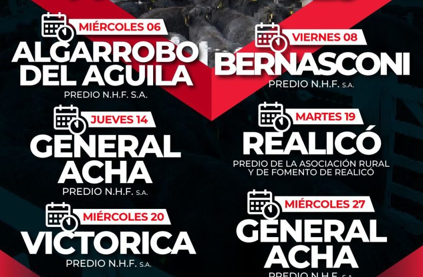 Néstor Hugo Fuentes S.A. | General Acha | Próximo Remate Feria el miércoles 27 de agosto de 2025