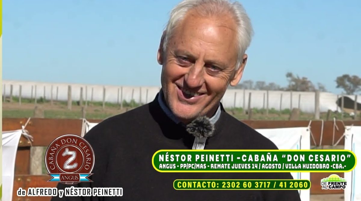 Néstor Peinetti de Cabaña Don Cesario durante la entrevista en De Frente al Campo sobre toros Angus
