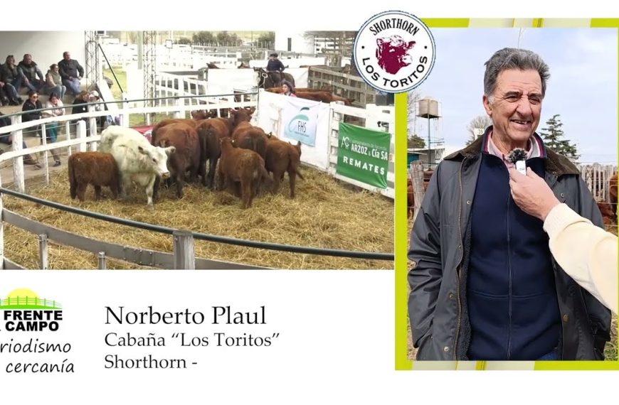 Entrevista: Remate cabaña Los Toritos con Norberto Plaul en Salliqueló