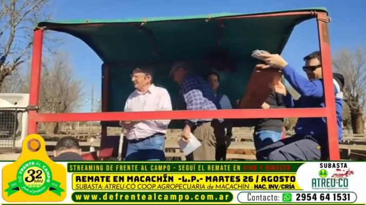 Remate feria ATREU-CO en Macachín, martillero conduciendo la subasta junto al equipo – 26 de agosto 2025