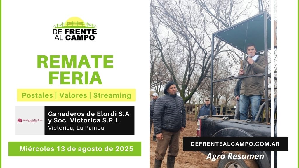Remate Feria de Ganaderos de Elordi S.A. y Sociedad Victorica S.R.L. | Victorica, La Pampa | Miércoles 13/08/2025