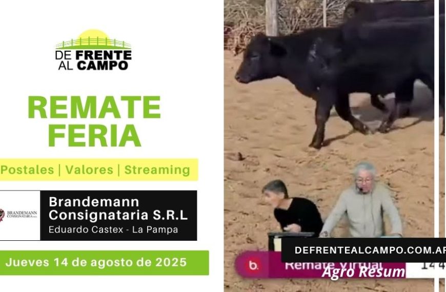 Remate Feria de Brandemann Consignataria SRL | Eduardo Castex, La Pampa | Jueves 14/08/2025