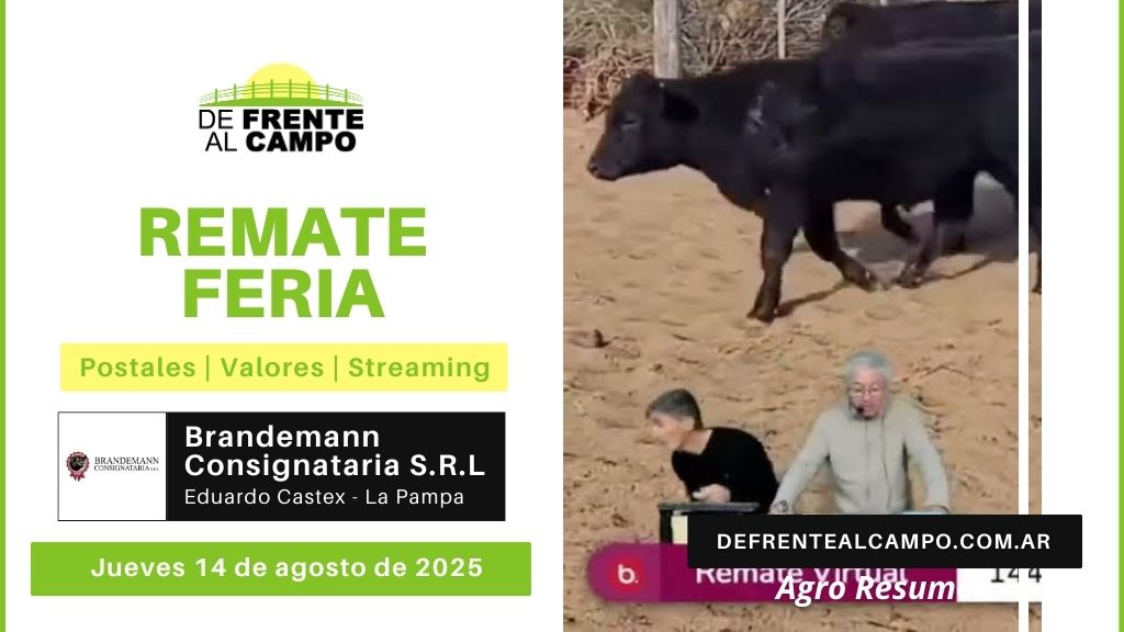 Remate Feria de Brandemann Consignataria SRL | Eduardo Castex, La Pampa | Jueves 14/08/2025