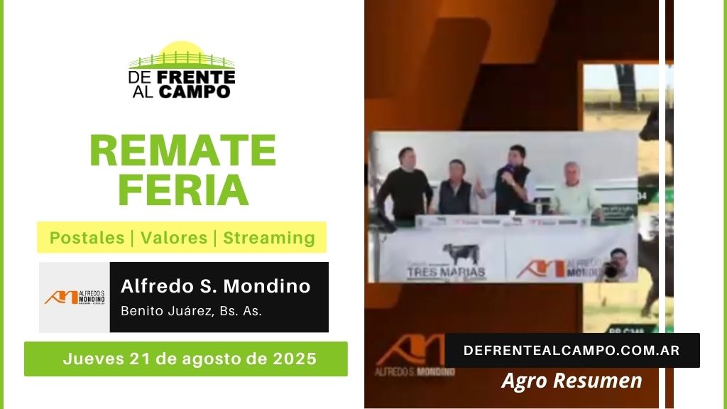 Remate Feria de Alfredo S. Mondino | Benito Juárez, Bs. As. | Jueves 21/08/2025
