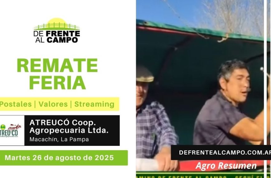 Remate feria ATREU-CO en Macachín – 26 de agosto 2025