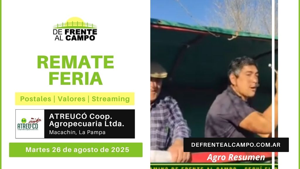 Remate Feria de ATREU-CO Cooperativa Agropecuaria Ltda. | Macachín | 26/08/2025