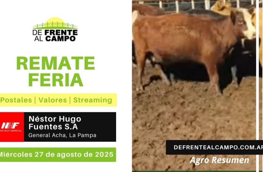 Remate Feria de Néstor H. Fuentes S.A. | General Acha, La Pampa | Miércoles 27/08/2025