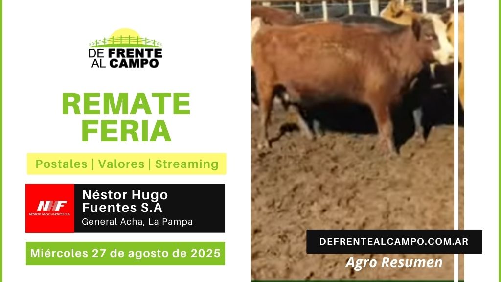Remate Feria de Néstor H. Fuentes S.A. | General Acha, La Pampa | Miércoles 27/08/2025